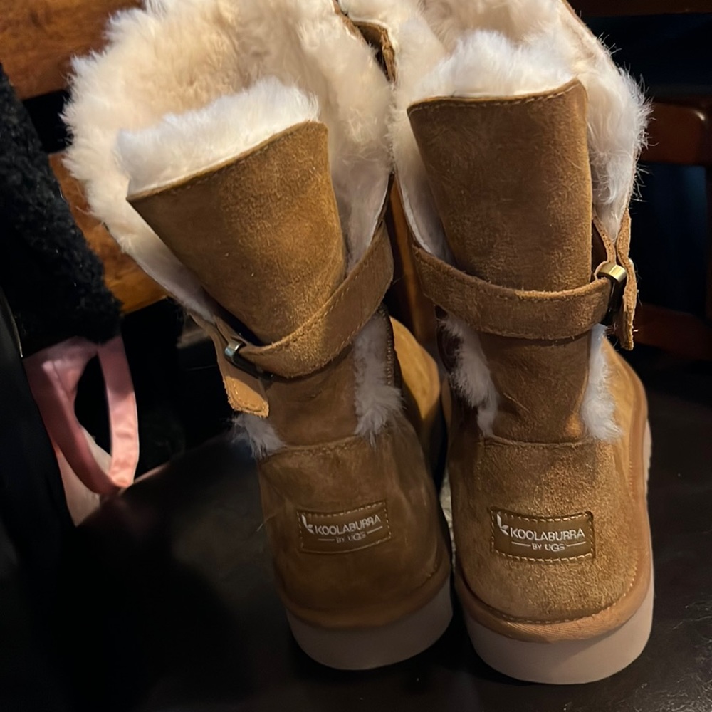 ADULT  Never worn koala bear UGGs size 11 women’s excellent condition